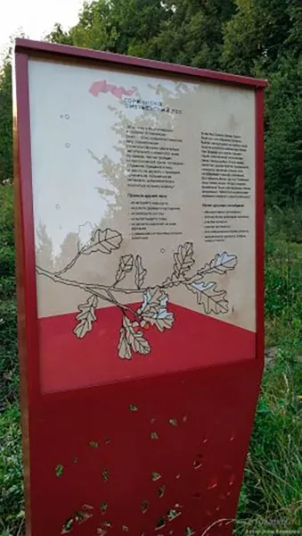 Благоустройства парков и скверов